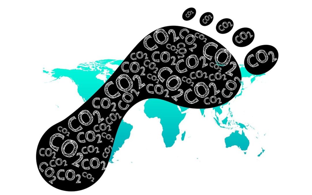 28 de gener: Dia Mundial per la reducció de les Emissions de CO2