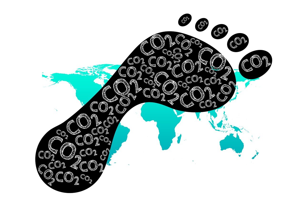 28 de gener: Dia Mundial per la reducció de les Emissions de CO2