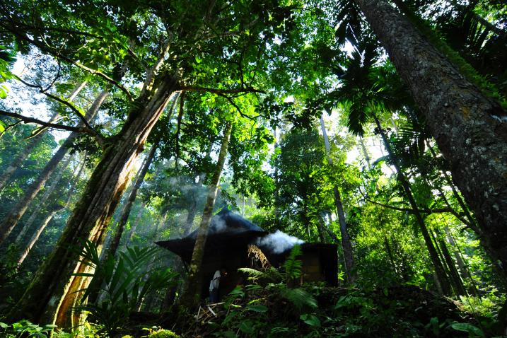 Recursos per al Dia Mundial de la Vida Silvestre (3 de març)