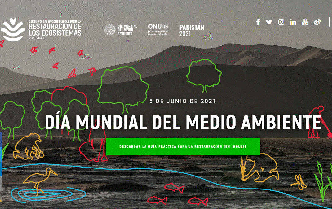 5 de juny: Acció conjunta XESC/ESenRED pel dia Mundial del Mediambient