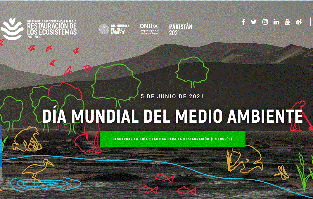 5 de juny: Acció conjunta XESC/ESenRED pel dia Mundial del Mediambient