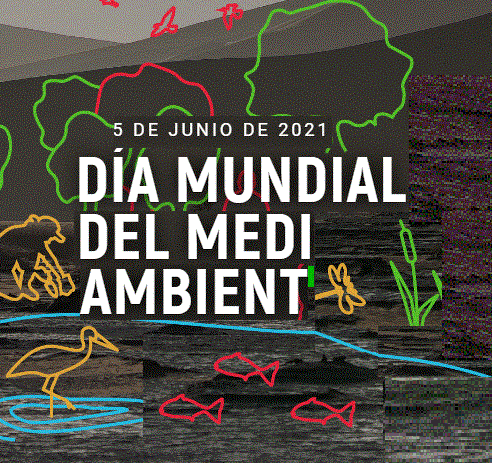 7 de juny: Joves i Natura: acte commemoratiu del Dia Mundial del Medi Ambient