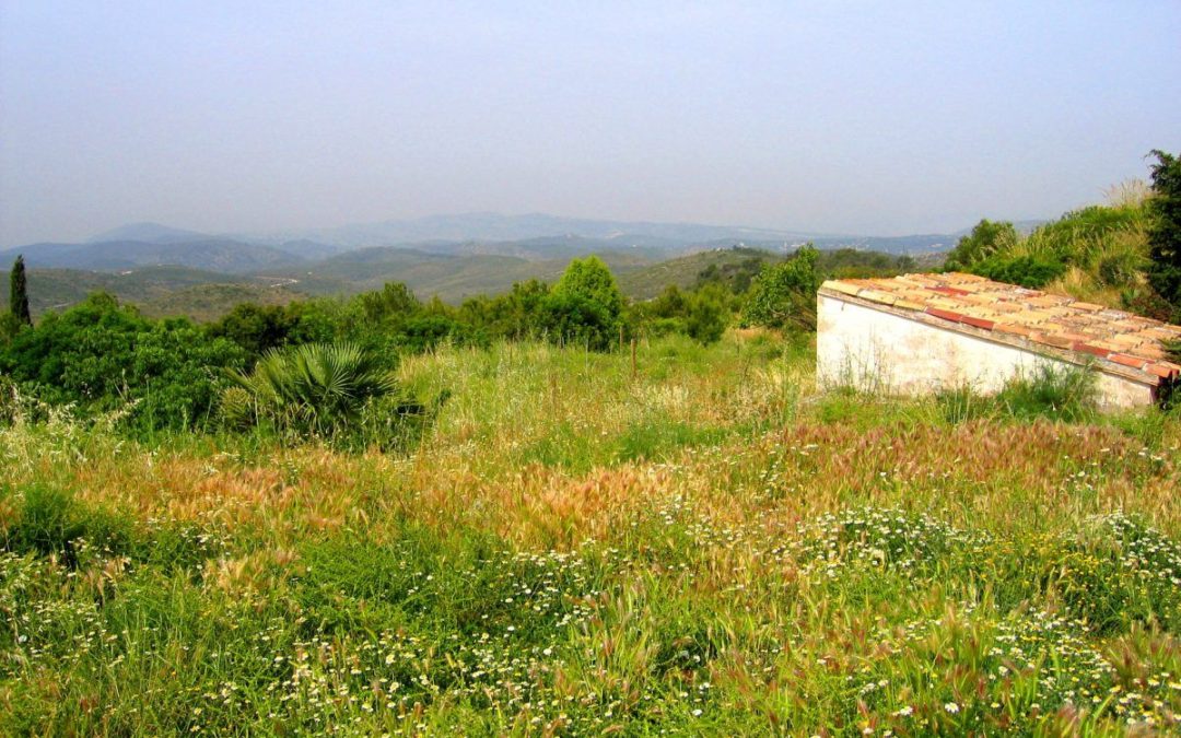 Trobada d’Escoles Bressol Verdes a Can Grau al parc del Garraf – Les papallones al Jardí