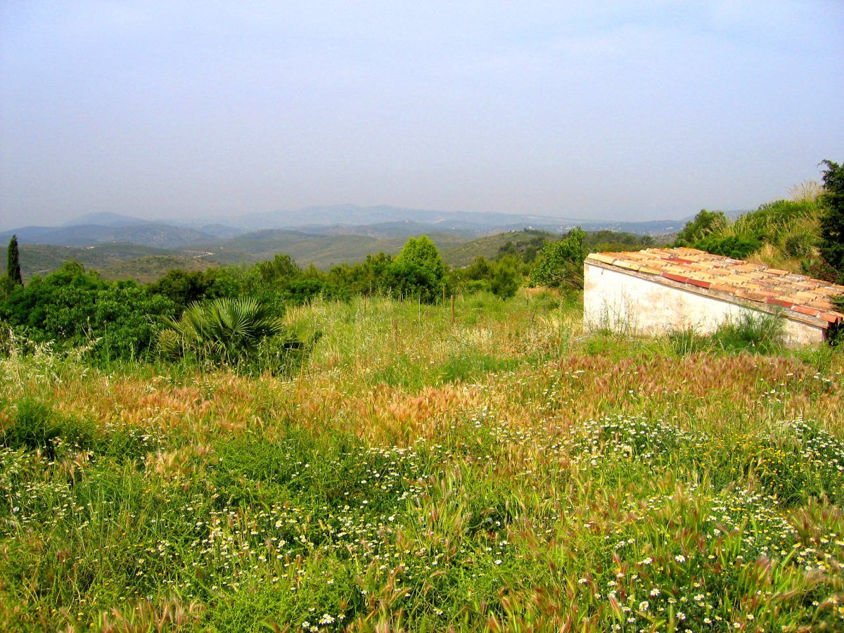 Trobada d’Escoles Bressol Verdes a Can Grau al parc del Garraf – Les papallones al Jardí